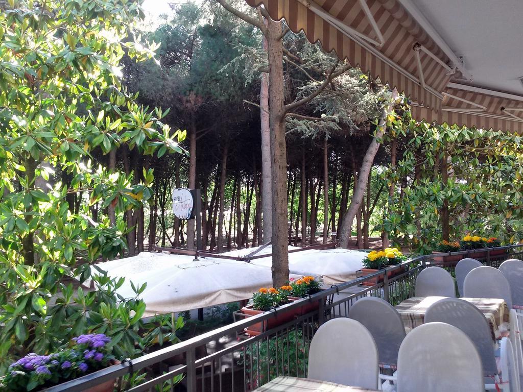 Hotel Antares 체르비아 외부 사진